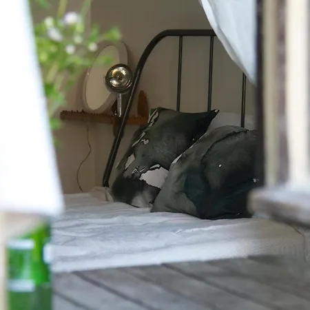 בית הארחה Ablak A Hegyre Vendeghaz