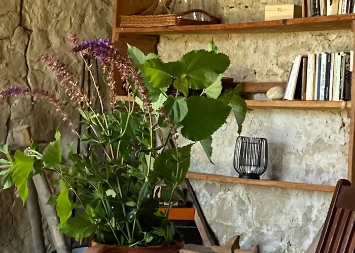 Ablak A Hegyre Vendeghaz בית הארחה Mindszentkálla