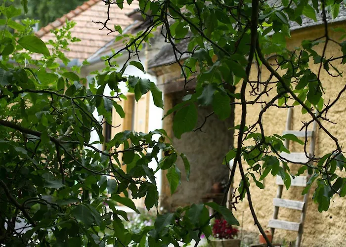 Ablak A Hegyre Vendeghaz Mindszentkálla